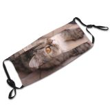 yanfind Lovely Fur Young Little Cat Cute Still Wood Soft Charming Beautiful Pretty Dust Washable Reusable Filter and Reusable Mouth Warm Windproof Cotton Face