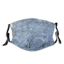 yanfind Winter Frost Heritage Winter Natural Atmospheric Woody Landscape Sky Branch Snow Olsztynek Dust Washable Reusable Filter and Reusable Mouth Warm Windproof Cotton Face