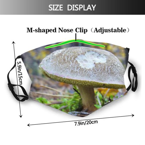 yanfind Plant Edible Penny Agaricaceae Fungus Agaricomycetes Boletus Forest Mushroom Mushroom Terrestrial Bolete Dust Washable Reusable Filter and Reusable Mouth Warm Windproof Cotton Face