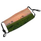 yanfind Blossom Hills Rapeseed Flower Sky Spring Misty Sunrise Meadow Plant Oil Foggy Dust Washable Reusable Filter and Reusable Mouth Warm Windproof Cotton Face