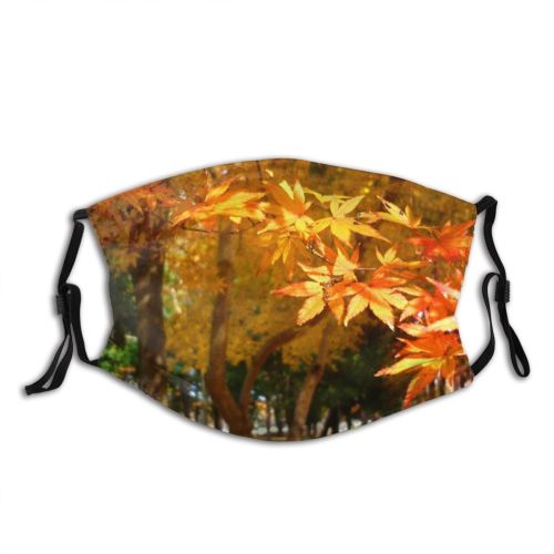 yanfind Leaves Deciduous Maple Leaf Vegetation Maple Leaf Fall Plant Tree Plant Autumn Dust Washable Reusable Filter and Reusable Mouth Warm Windproof Cotton Face