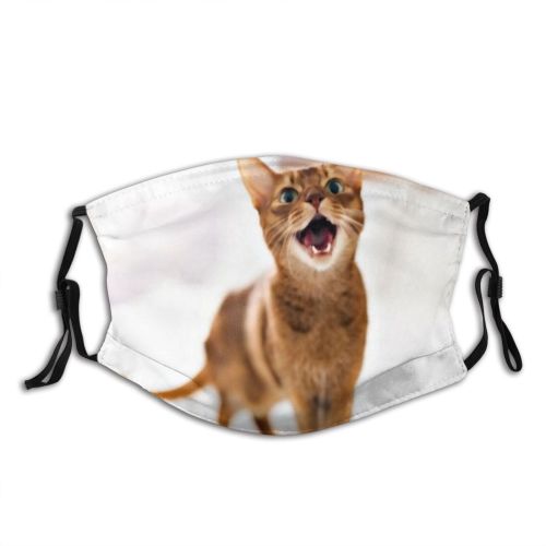 yanfind Bedroom Happiness Fur Livingroom Bed Little Cat Kitty Cute Abyssin Resting Cozy Dust Washable Reusable Filter and Reusable Mouth Warm Windproof Cotton Face