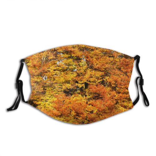 yanfind Trunk Natural Woody Leaves Landscape Vegetation Plant Leaf Forest Leaf Tree Tree Dust Washable Reusable Filter and Reusable Mouth Warm Windproof Cotton Face