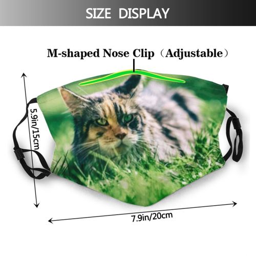 yanfind Lovely Young Cat Kitty Cute Satisfied Coon Meadow Puss Beautiful Ears Lawn Dust Washable Reusable Filter and Reusable Mouth Warm Windproof Cotton Face