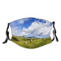yanfind Idyllic Pasture Field Clouds Agriculture Cow Lawn Tranquil Scenery Mountains Beautiful Rural Dust Washable Reusable Filter and Reusable Mouth Warm Windproof Cotton Face
