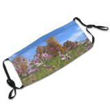 yanfind Plant Cosmos Flower Garden Meadow Plant Spring Flowers Outdoor Cosmos Spring Sky Dust Washable Reusable Filter and Reusable Mouth Warm Windproof Cotton Face