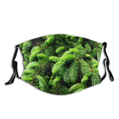 yanfind Pine Winter Sitka Vegetation Canadian Fir Plant Christmas Tree Tree Spruce Columbian Dust Washable Reusable Filter and Reusable Mouth Warm Windproof Cotton Face