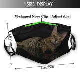 yanfind Isolated Fur Young Striped Cat Kitty Cute Shorthair Leopard Bengal Baby Curious Dust Washable Reusable Filter and Reusable Mouth Warm Windproof Cotton Face