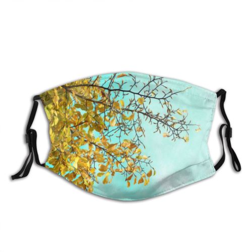 yanfind Spring Sky Buds Woody Leaves Branch Plant Branch Bud Flower Leaf Leaf Dust Washable Reusable Filter and Reusable Mouth Warm Windproof Cotton Face
