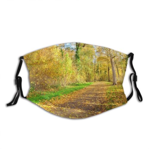yanfind Dead Path Bushes Footpath Natural Autumn Woody Leaves Landscape Bush Forest Leaf Dust Washable Reusable Filter and Reusable Mouth Warm Windproof Cotton Face