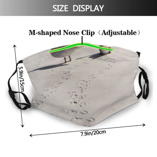 yanfind Winter Frozen Lake Ducks Beak Geese Swans Bird Swan Birds Waterway Lake Dust Washable Reusable Filter and Reusable Mouth Warm Windproof Cotton Face