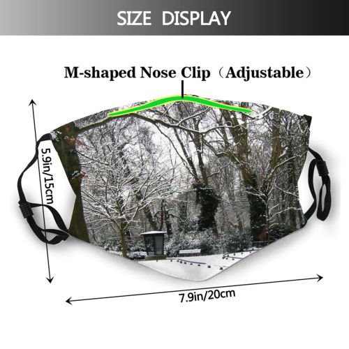 yanfind Winter Winter Natural Woody Landscape Plant Ice Branch Snow Holland Tree Forest Dust Washable Reusable Filter and Reusable Mouth Warm Windproof Cotton Face