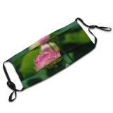 yanfind Blossom Spring Flower Botany Floating Flora Blooming Pond Sacred Bean Peace Tropical Dust Washable Reusable Filter and Reusable Mouth Warm Windproof Cotton Face
