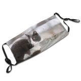 yanfind Fur Young Striped Cat Cute Box Big Fence Winter Fangs Beautiful Eyed Dust Washable Reusable Filter and Reusable Mouth Warm Windproof Cotton Face