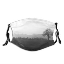 yanfind Winter Mist Morning Natural Atmospheric Fog Landscape Sky Tree Tree Haze Morning Dust Washable Reusable Filter and Reusable Mouth Warm Windproof Cotton Face