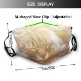 yanfind Comfortable Whisker Fur Young Striped Cat Kitty Cute Resting Muzzle Relax Beautiful Dust Washable Reusable Filter and Reusable Mouth Warm Windproof Cotton Face