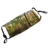 yanfind Sumac Natural Sun Autumn Growth Landscape Fall Light Wood Forest Hardwood Northern   Dust Washable Reusable Filter and Reusable Mouth Warm Windproof Cotton Face