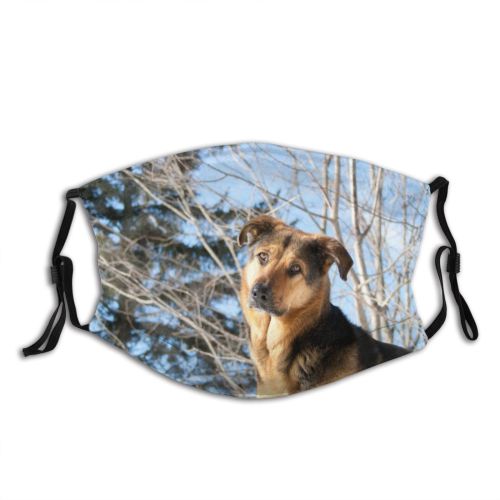 yanfind Winter Vertebrate Dog Carnivore Look Trees Canidae Plant Tree Pet Winter Puppy Dust Washable Reusable Filter and Reusable Mouth Warm Windproof Cotton Face