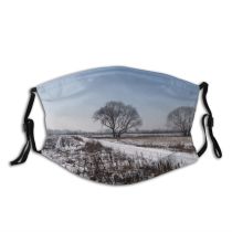 yanfind Winter Rural Landscape Sky Trees Tree Plant Frost Winter Natural Freezing Atmospheric Dust Washable Reusable Filter and Reusable Mouth Warm Windproof Cotton Face