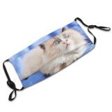 yanfind Lovely Whisker Fur Little Cat Kitty Cute Meow Carnivore Peace Active Friendly Dust Washable Reusable Filter and Reusable Mouth Warm Windproof Cotton Face