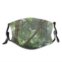 yanfind Plant Exotic Tree Sunlight Plant Dark Forest Jungle Rainforest Terrestrial Botany Jungle Dust Washable Reusable Filter and Reusable Mouth Warm Windproof Cotton Face