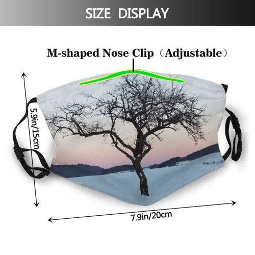 yanfind Winter Landscape Sky Plant Sundown Tree Tree Branch Plant Winter Natural Freezing Dust Washable Reusable Filter and Reusable Mouth Warm Windproof Cotton Face