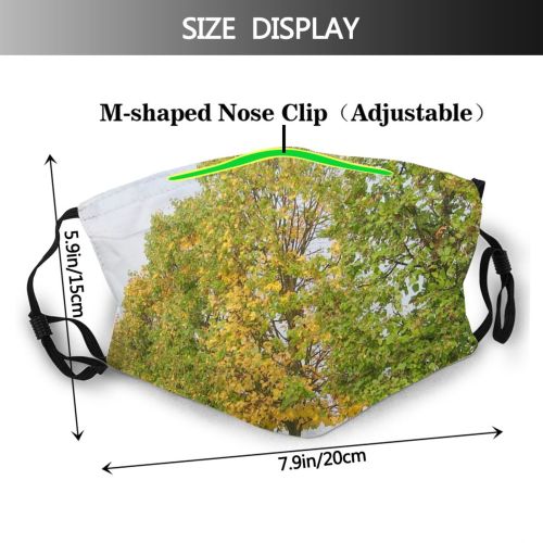 yanfind Spring Sky Autumn Woody Row Sky Plant Branch Plane Leaf Tree Tree Dust Washable Reusable Filter and Reusable Mouth Warm Windproof Cotton Face