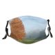 yanfind Morning Natural Atmospheric Golden Autumn Woody Liriodendron Leaves Landscape Sky Tulip Leaf Dust Washable Reusable Filter and Reusable Mouth Warm Windproof Cotton Face