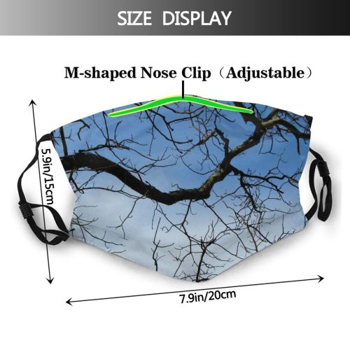 yanfind Closeup Sky Stem Stalks Cliffs Branches Growing Woody Leaves Branch Sky Plant Dust Washable Reusable Filter and Reusable Mouth Warm Windproof Cotton Face