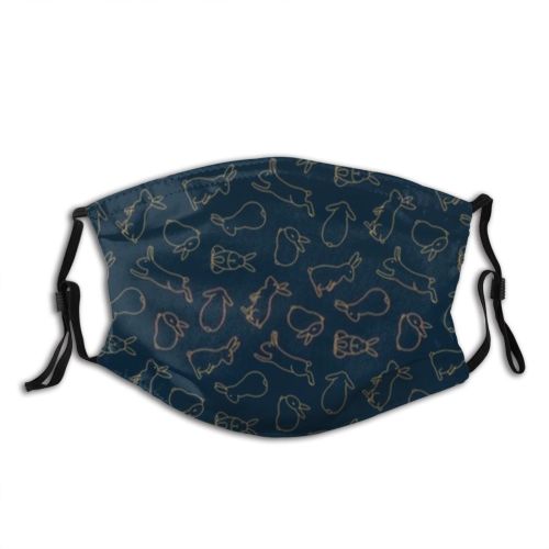 yanfind Asian Japanese Decor Cute Jugoya Easter Seamless Hare Korea Package Rabbit Otsukimi Dust Washable Reusable Filter and Reusable Mouth Warm Windproof Cotton Face