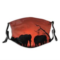 yanfind Idyllic Amazing Creature Vibrant Calm Dry Sunset Evening Exotic Wild Savannah Walk Dust Washable Reusable Filter and Reusable Mouth Warm Windproof Cotton Face