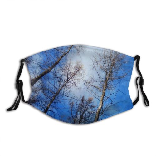 yanfind Flower Sky Natural Autumn Woody Cloud Landscape Sky Fall Flowers Branch Forest Dust Washable Reusable Filter and Reusable Mouth Warm Windproof Cotton Face