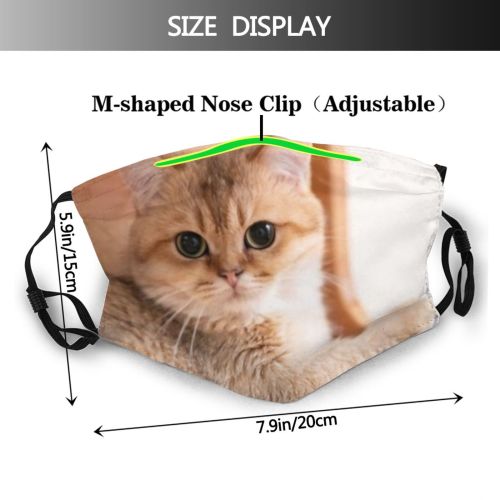yanfind Isolated Whisker Young Cat British Cute Shorthair Grey Pedigree Pretty Pet Fluffy Dust Washable Reusable Filter and Reusable Mouth Warm Windproof Cotton Face