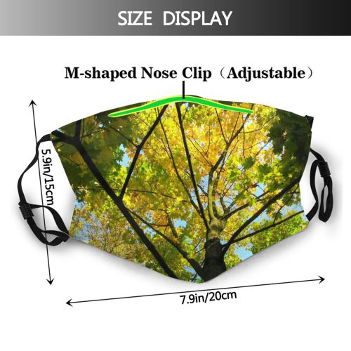 yanfind Temperate Deciduous Leaf Plant Forest Sunlight Tree Broadleaf Plant Branch Woody Dust Washable Reusable Filter and Reusable Mouth Warm Windproof Cotton Face