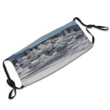 yanfind France Landscape Tranquility Tree Scene Snow Sky Scenics Mountain Non Temperature Outdoors Dust Washable Reusable Filter and Reusable Mouth Warm Windproof Cotton Face