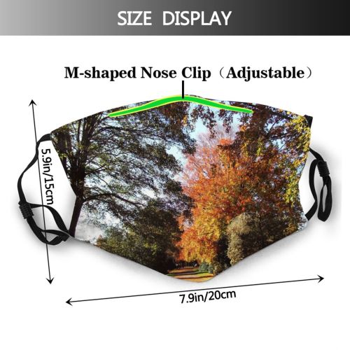 yanfind Path Natural Autumn Woody Landscape Sky Plant Sunlight Sunlight Leaf Tree Light Dust Washable Reusable Filter and Reusable Mouth Warm Windproof Cotton Face