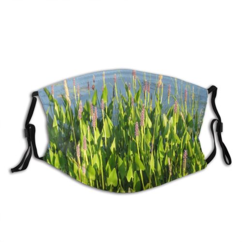 yanfind Plant Flower Aquatic Plant Reflections Groundcover Growing Family Lilypads Pond Pond Outdoor Dust Washable Reusable Filter and Reusable Mouth Warm Windproof Cotton Face