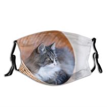 yanfind Comfortable Fur Meow Cat Cute Whiskers Resting Basket Cave Room Lion Relax Dust Washable Reusable Filter and Reusable Mouth Warm Windproof Cotton Face