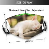 yanfind Fur Cat Cute Nose Totally Natural Relax Relaxation Beautiful Pretty Face Pet Dust Washable Reusable Filter and Reusable Mouth Warm Windproof Cotton Face