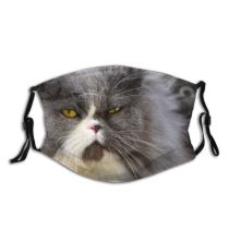 yanfind Lovely Whisker Fur Cat Cute Grumpy Friendly Grey Bad Summer Sad Amber Dust Washable Reusable Filter and Reusable Mouth Warm Windproof Cotton Face