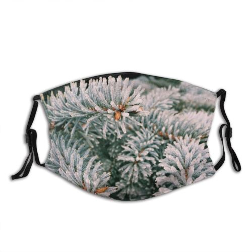 yanfind Frost Coniferous Frozen Needle Tree Snow Evergreen Branch Forest Fir Pine Snowflake Dust Washable Reusable Filter and Reusable Mouth Warm Windproof Cotton Face