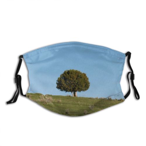 yanfind Field Landscape Grassland Alone Field Vegetation Natural Sky Tree Grass Tree Pasture Dust Washable Reusable Filter and Reusable Mouth Warm Windproof Cotton Face