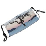 yanfind Winter Landscape Sky Plant Sundown Tree Tree Branch Plant Winter Natural Freezing Dust Washable Reusable Filter and Reusable Mouth Warm Windproof Cotton Face