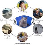 yanfind Isolated Fur Young Cat Kitty British Cute Shorthair Grey Face Lawn Ears Dust Washable Reusable Filter and Reusable Mouth Warm Windproof Cotton Face