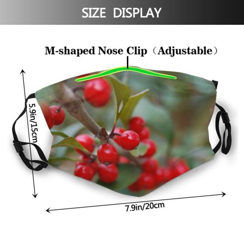 yanfind Winter Landscape Tree Frost Winter Natural Atmospheric Freezing Snow    Dust Washable Reusable Filter and Reusable Mouth Warm Windproof Cotton Face