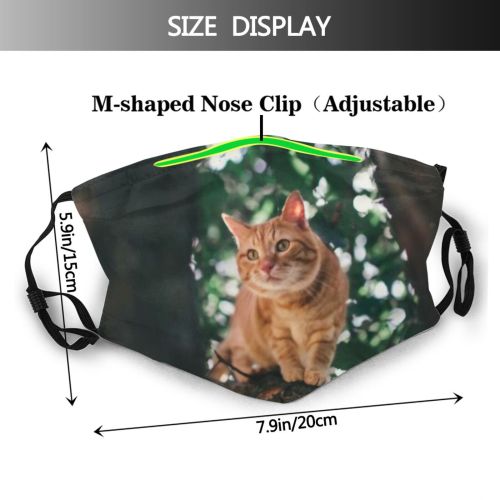 yanfind Garden Fur Tom Young Cat Kitty Cute Perfect Pedigreed Summer Ginger Friend Dust Washable Reusable Filter and Reusable Mouth Warm Windproof Cotton Face