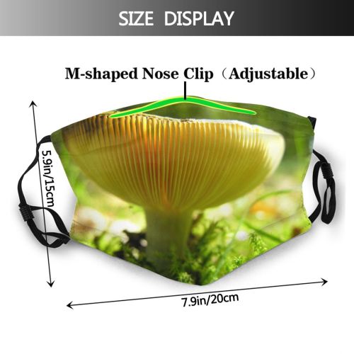 yanfind Plant Edible Woods Agaricaceae Fungus Agaricomycetes Forest Mushroom Mushroom Terrestrial Botany Macro Dust Washable Reusable Filter and Reusable Mouth Warm Windproof Cotton Face