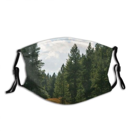 yanfind Winter Natural Wilderness Park Colorado Landscape Sky Meadow Mountain Pine Grassland Tree Dust Washable Reusable Filter and Reusable Mouth Warm Windproof Cotton Face