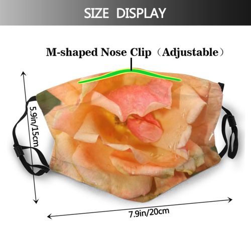yanfind Julia Winter Plant Petal Flower Flowering Rose Floribunda Rose Roses Thorns Garden Dust Washable Reusable Filter and Reusable Mouth Warm Windproof Cotton Face