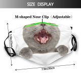 yanfind Crazy Isolated Interested Whisker Young Straight Cat Board British Cute Pure Shorthair Dust Washable Reusable Filter and Reusable Mouth Warm Windproof Cotton Face
